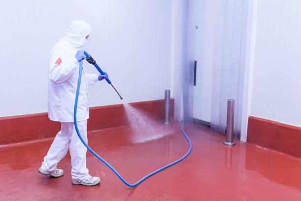 Best Soft Washing for Delicate Surfaces in Clinton, IL